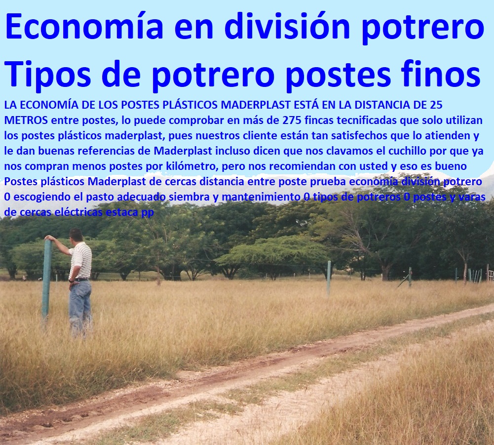 Postes plásticos Maderplast de cercas distancia entre poste prueba economía división potrero 0 escogiendo el pasto adecuado siembra y mantenimiento 0 tipos de potreros 0 postes y varas de cercas eléctricas estaca pp Postes plásticos Maderplast de cercas distancia entre poste prueba economía división potrero 0 escogiendo el pasto adecuado siembra y mantenimiento 0 tipos de potreros 0 postes y varas de cercas eléctricas estaca pp Postes plásticos Maderplast de cercas distancia entre poste prueba economía división potrero 0 escogiendo el pasto adecuado siembra y mantenimiento 0 tipos de potreros 0 postes y varas de cercas eléctricas estaca pp